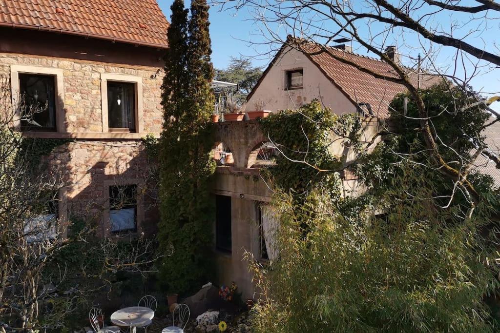 "Casita Linda "Am Donnersberg Villa Dannenfels Dış mekan fotoğraf