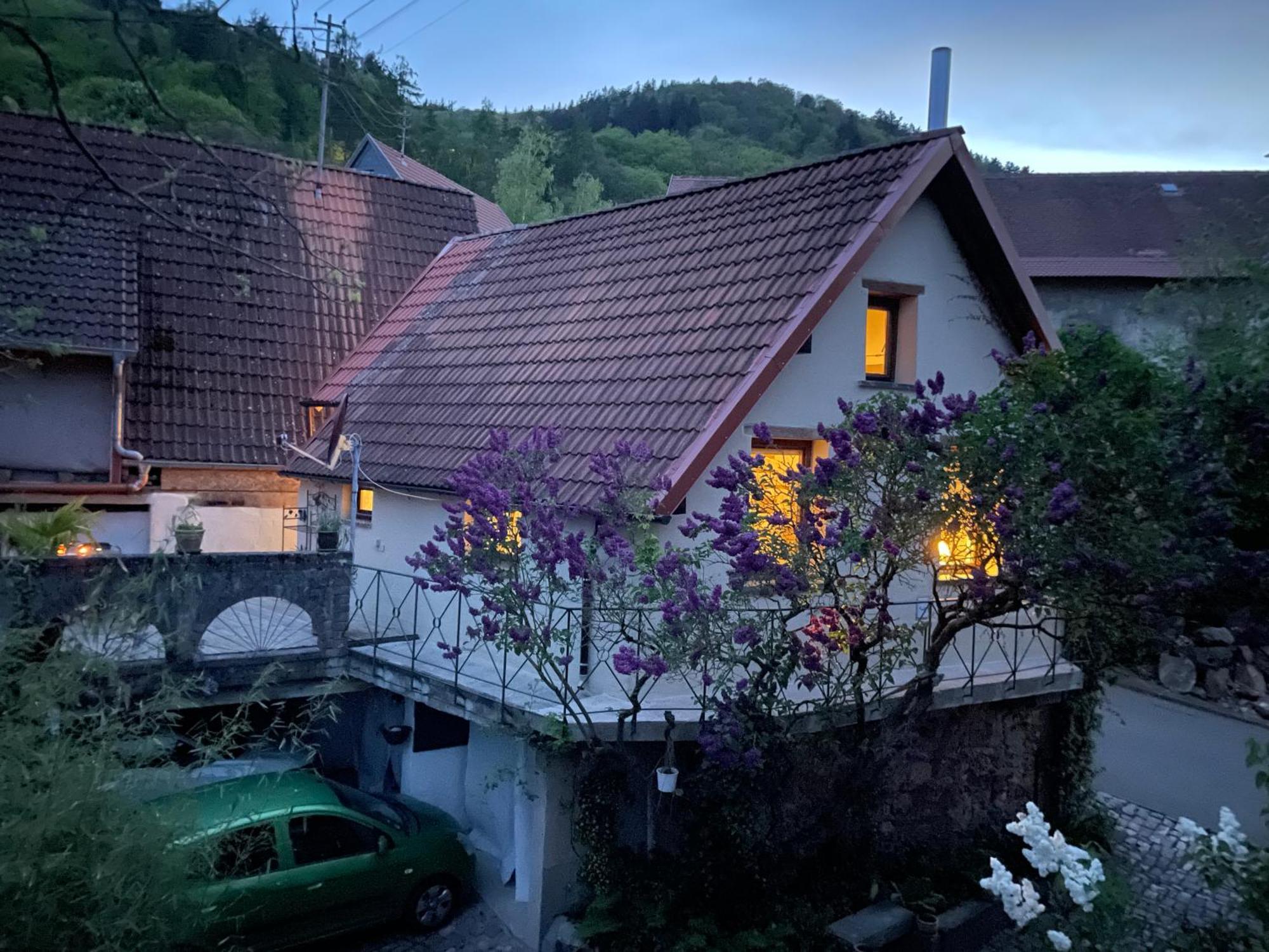 "Casita Linda "Am Donnersberg Villa Dannenfels Dış mekan fotoğraf