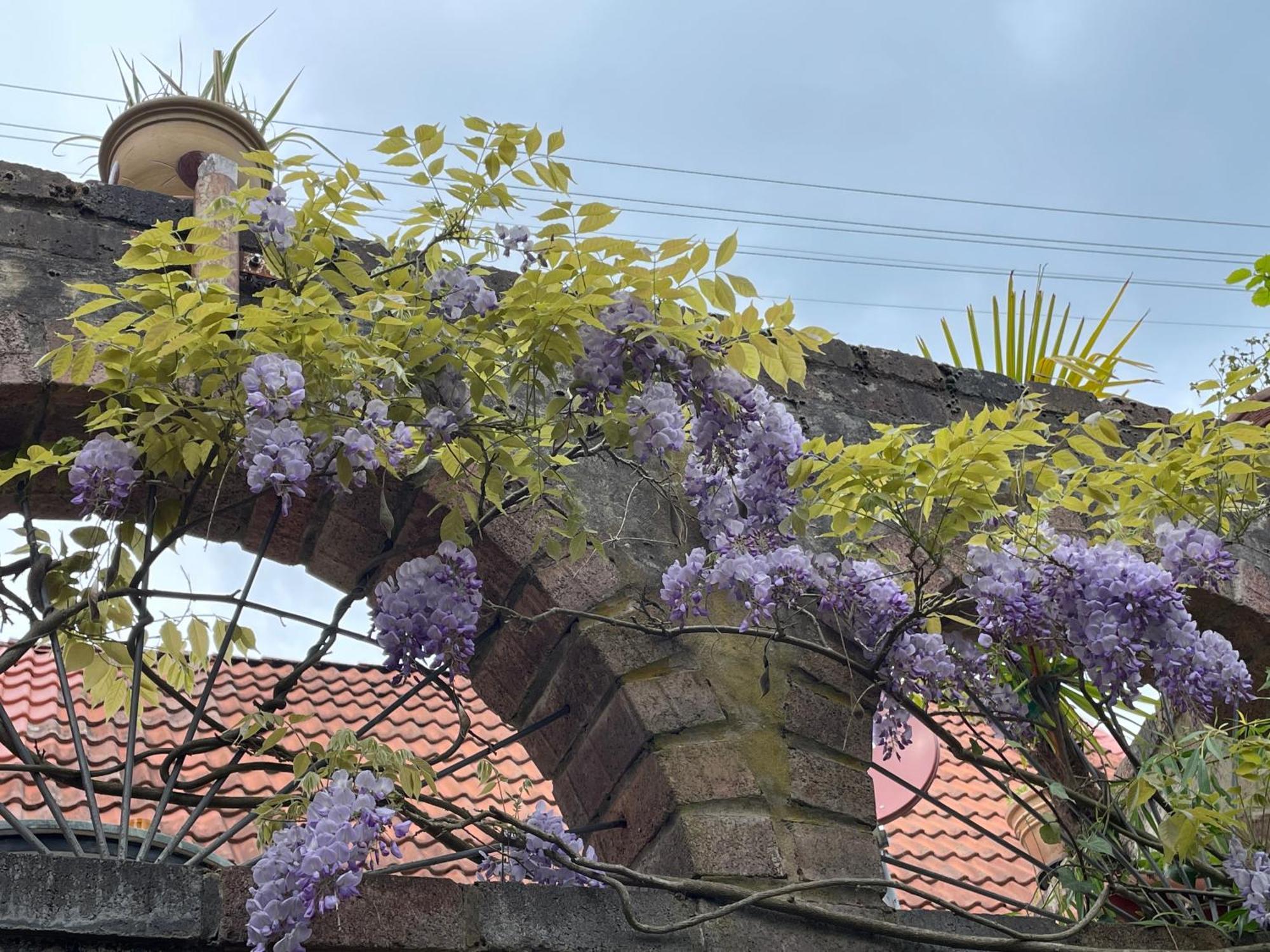"Casita Linda "Am Donnersberg Villa Dannenfels Dış mekan fotoğraf