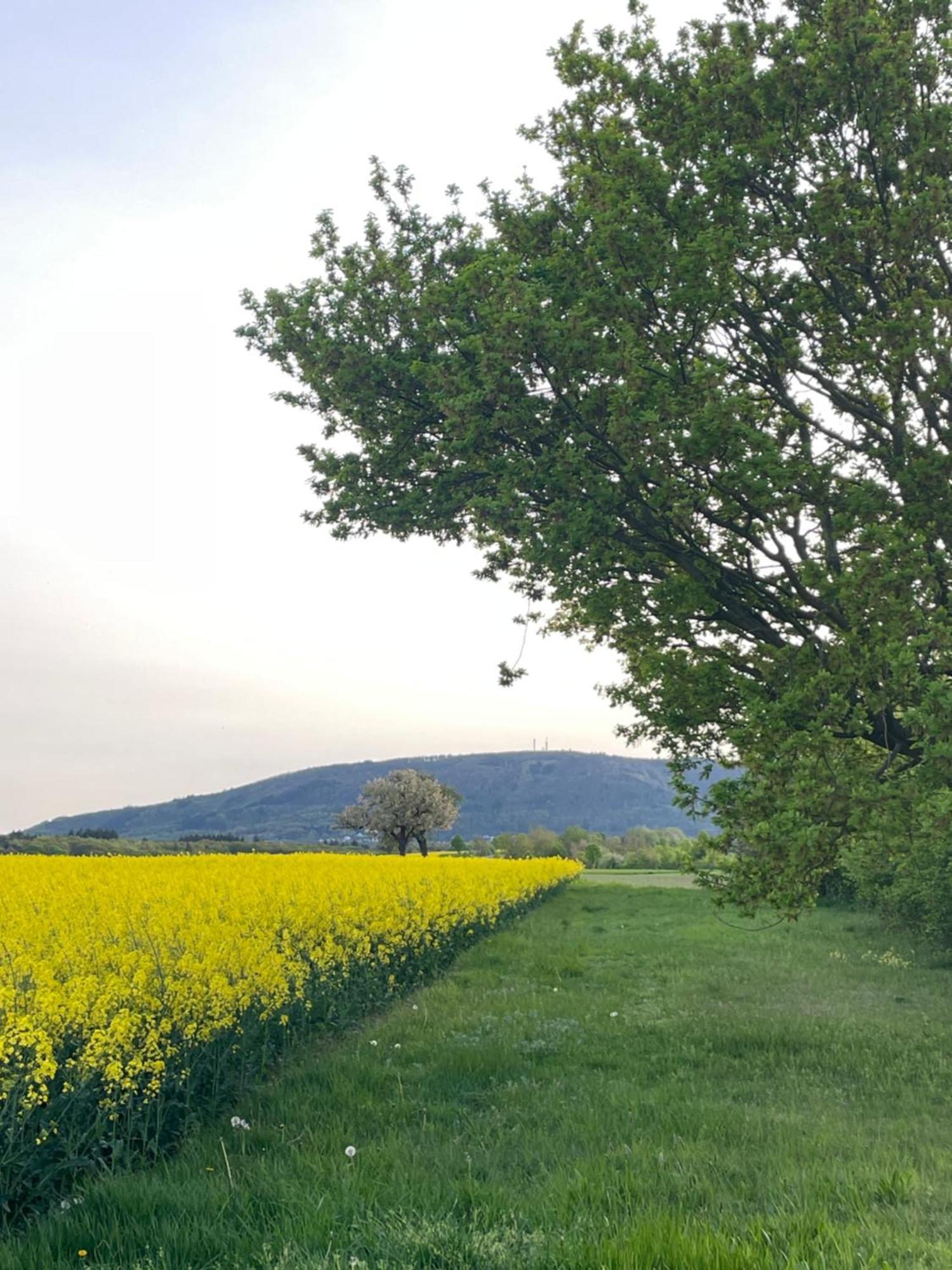 "Casita Linda "Am Donnersberg Villa Dannenfels Dış mekan fotoğraf