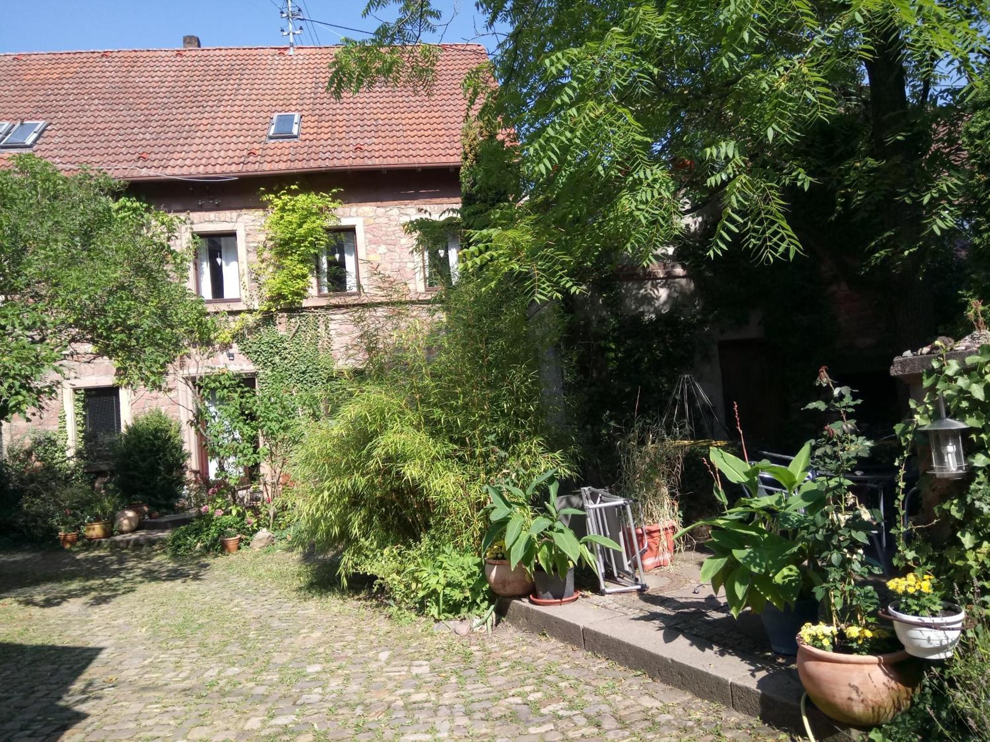 "Casita Linda "Am Donnersberg Villa Dannenfels Dış mekan fotoğraf