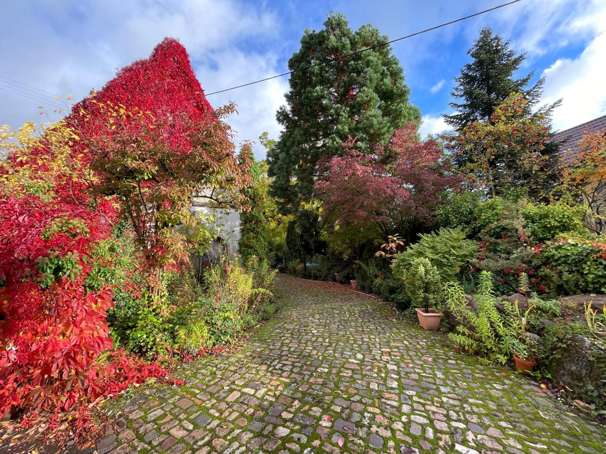 "Casita Linda "Am Donnersberg Villa Dannenfels Dış mekan fotoğraf